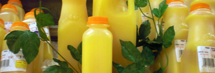 Juice Bar
